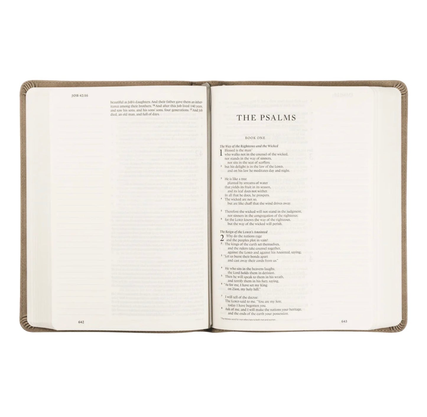 ESV Large Print Journaling Bible | Hosanna Revival